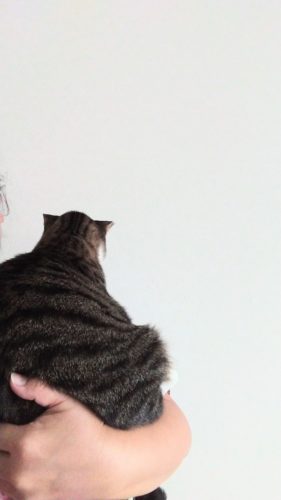 20日のチッチとこぶち♪