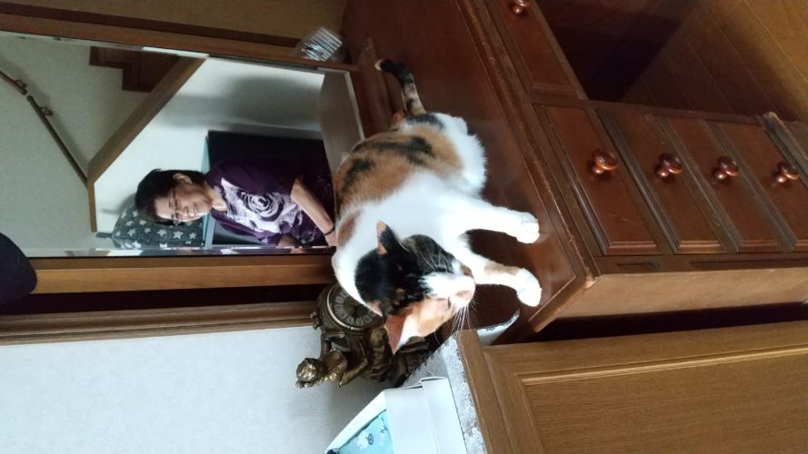 7日のチッチとこぶち♪