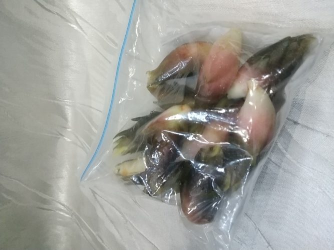 素敵なお客さま(Ｃさん)♪