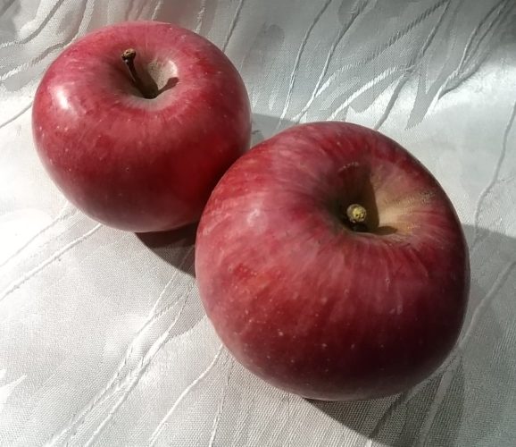 素敵なお客さま(S君ファミリー)♪