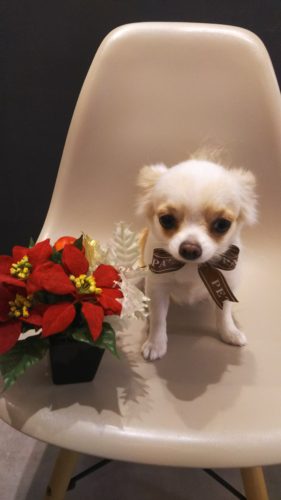 素敵なお客さま（Ｈさん）・２♪