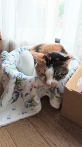 15日のチッチとこぶち♪