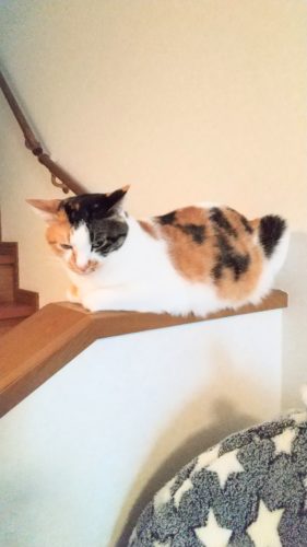 9日のチッチとこぶち♪