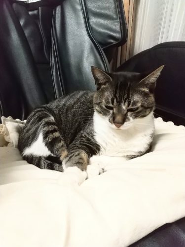 15日のチッチとこぶち♪