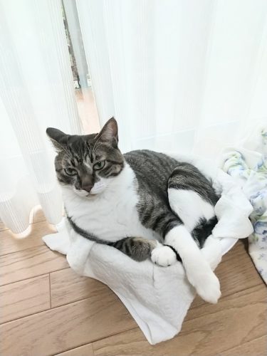 22日のチッチとこぶち♪