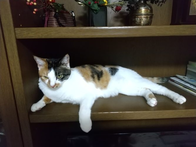 23日のチッチとこぶち♪