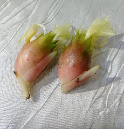 素敵なお客さま(Oさん)♪