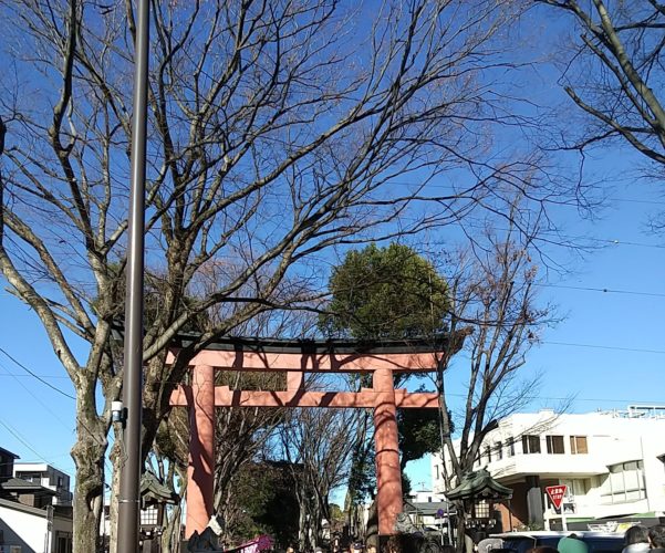 大宮氷川神社♪
