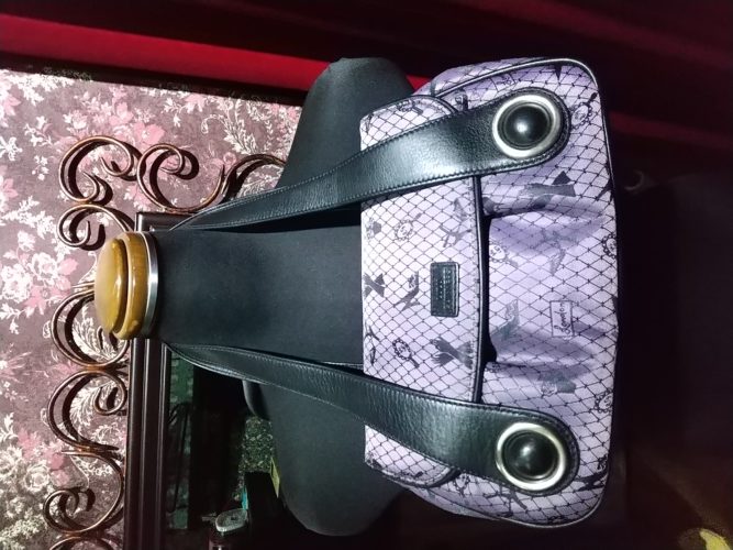 素敵なお友達(モーリー)♪