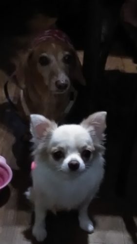 素敵なお客さま（Ｈさん）♪