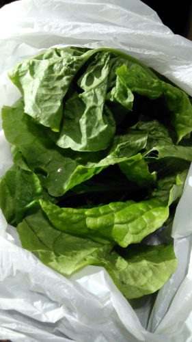 素敵なスタッフ（Ｍ君）♪