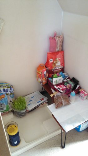 岩槻店ににゃんずのコーナー作りました♪