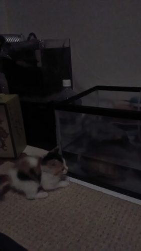 21日のチッチとこぶち♪