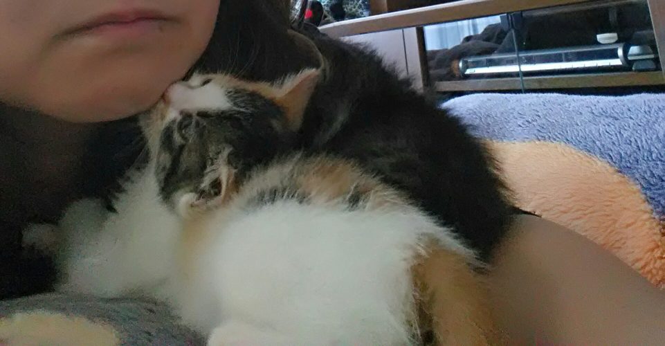 24日のチッチとこぶち♪