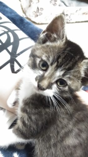 6日のチッチとこぶち♪