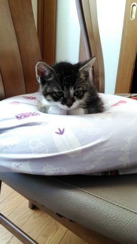 10日のチッチとこぶち♪