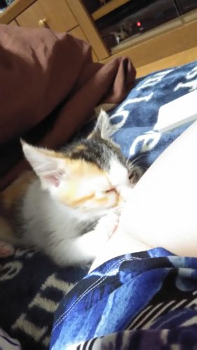 11日のチッチとこぶち♪