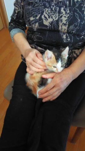 16日のチッチとこぶち♪