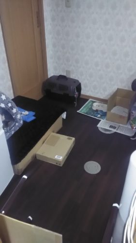 17日のチッチとこぶち♪