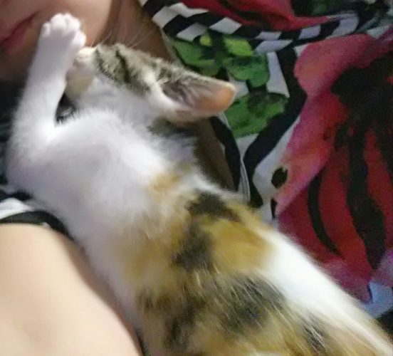 20日のチッチとこぶち♪