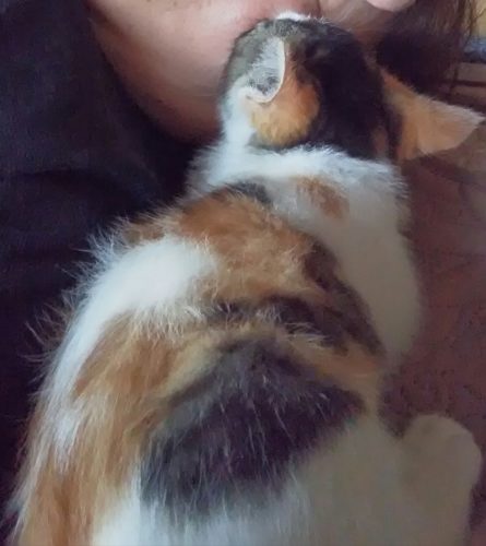 22日のチッチとこぶち♪