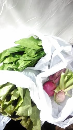 素敵なスタッフ（Ｍ君）♪