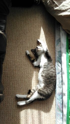 5日のチッチとこぶち♪