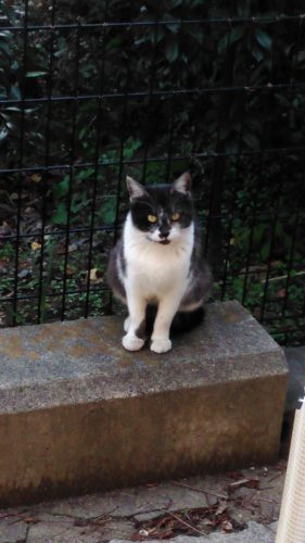 岩槻店のブチコさん♪