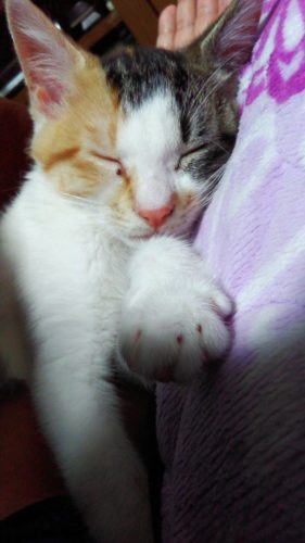 19日のチッチとこぶち♪