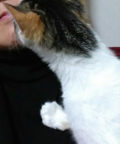 3日のチッチとこぶち♪