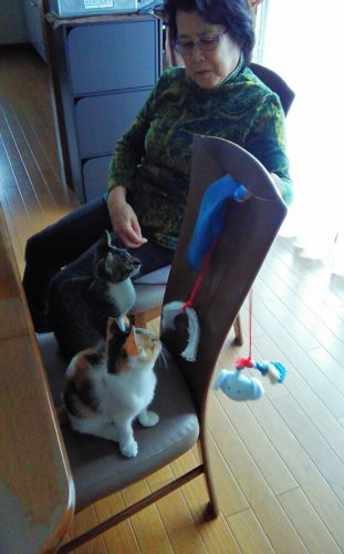 5日のチッチとこぶち♪