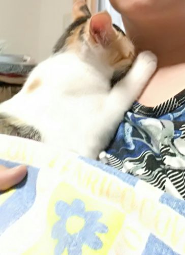 13日のチッチとこぶち♪