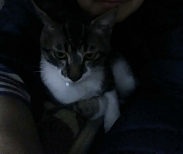 23日のチッチとこぶち♪