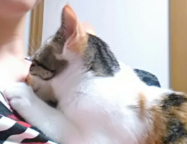 4日のチッチとこぶち