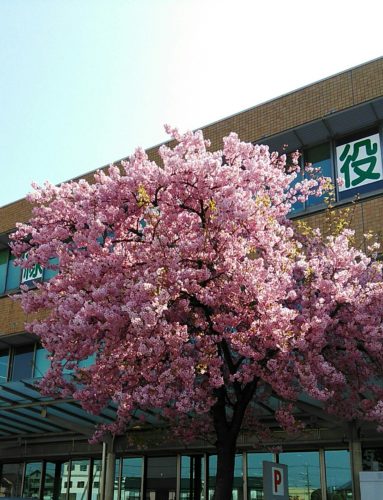 岩槻店とBENKEIさんに行ってきました♪