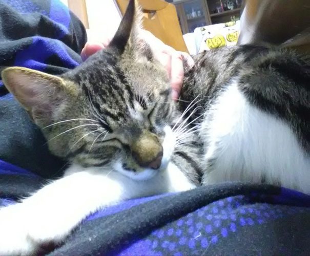 13日のチッチとこぶち♪