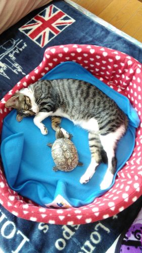 19日のチッチとこぶち♪