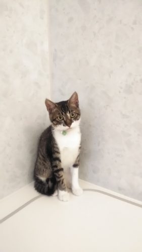 22日のチッチとこぶち♪