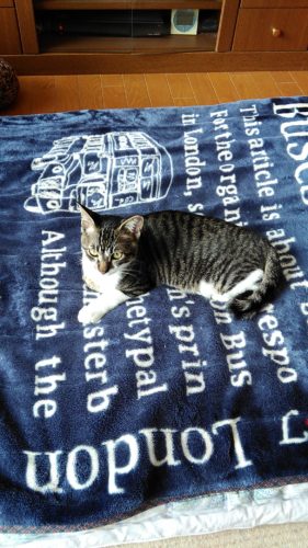 3日のチッチとこぶち♪