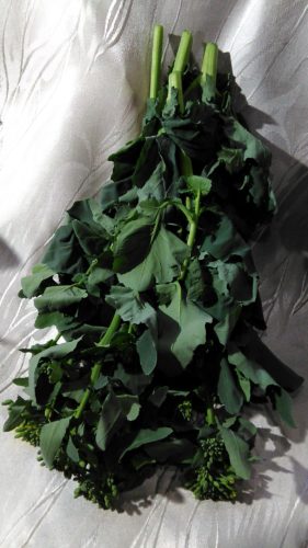 素敵なお客さま（Ｏさん）♪