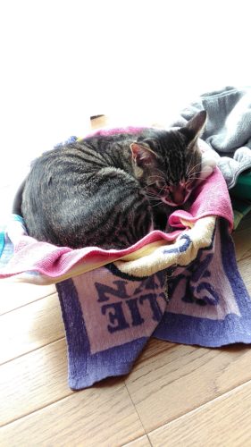 14日のチッチとこぶち♪