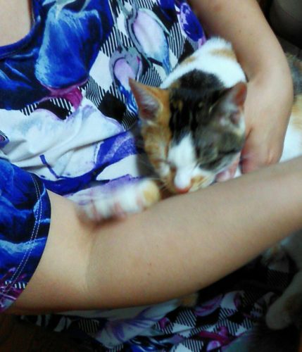 18日のチッチとこぶち♪