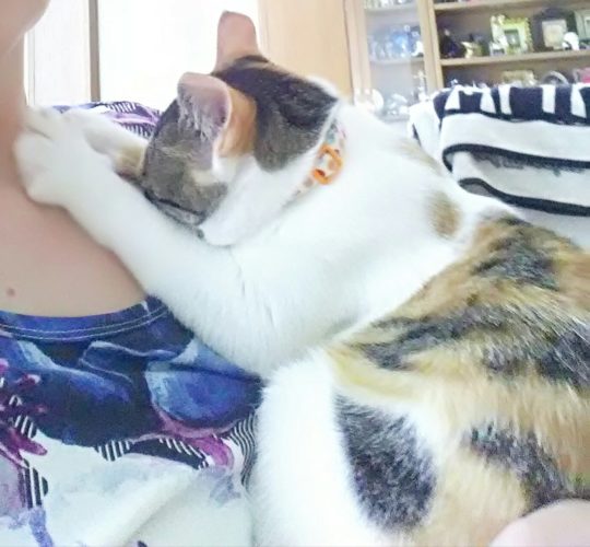 22日のチッチとこぶち♪