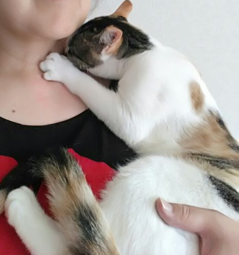 4日のチッチとこぶち♪