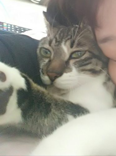 8日のチッチとこぶち♪