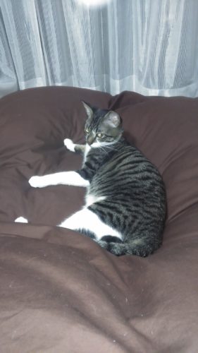 11日のチッチとこぶち♪