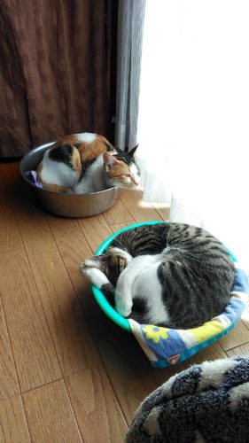 14日のチッチとこぶち♪