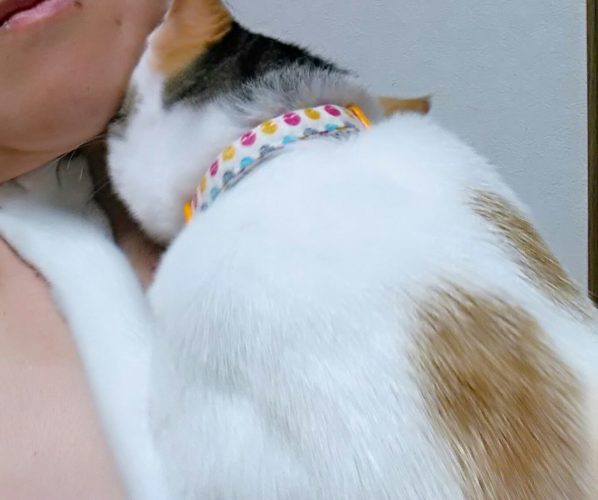 16日のチッチとこぶち♪