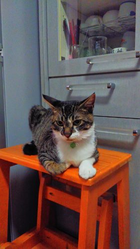 23日のチッチとこぶち♪