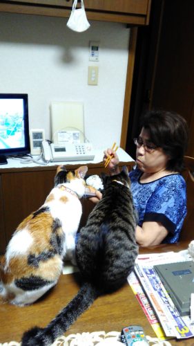 24日のチッチとこぶち♪